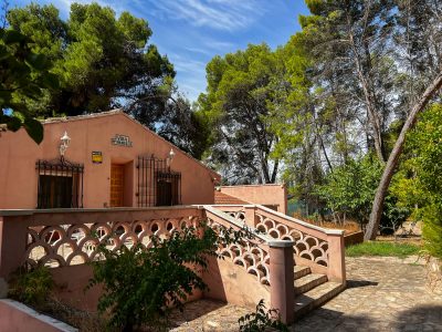 jardin-10