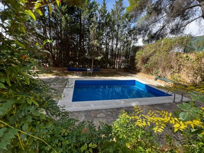 jardin-8