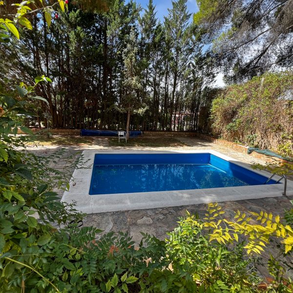 jardin-8