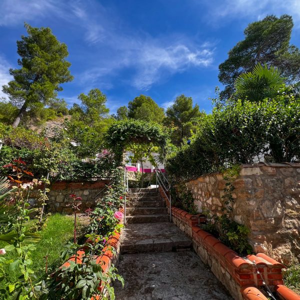 jardin-9