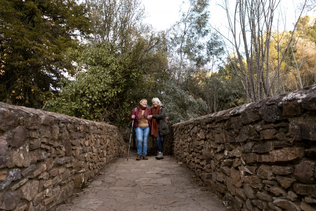 Vive El Camino del Cid en Alhama de Aragón 3 itinerario camino del cid